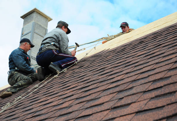 Best Storm Damage Roof Repair  in Sac City, IA